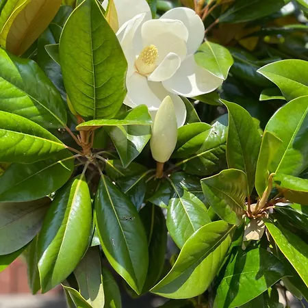 La Finestra Sul Malgrate